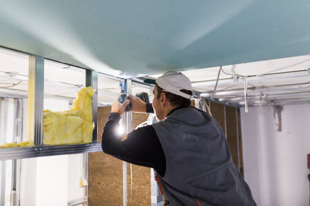 Best Insulation Installation Cost  in Big Spring, TX