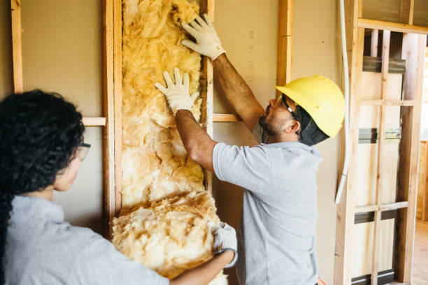 Best Crawl Space Insulation  in Big Spring, TX