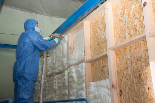 Insulation Repair Services in Big Spring, TX